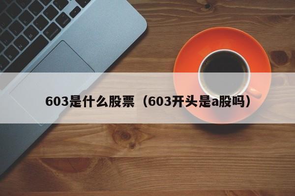 603是什么股票开头