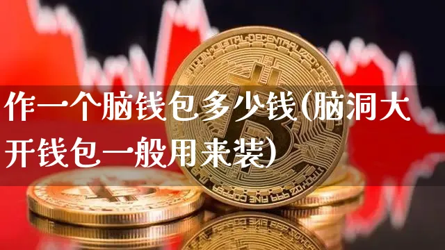 脑洞游戏钱包一般用来装