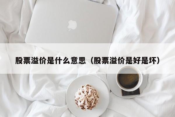 股票溢价率是什么意思