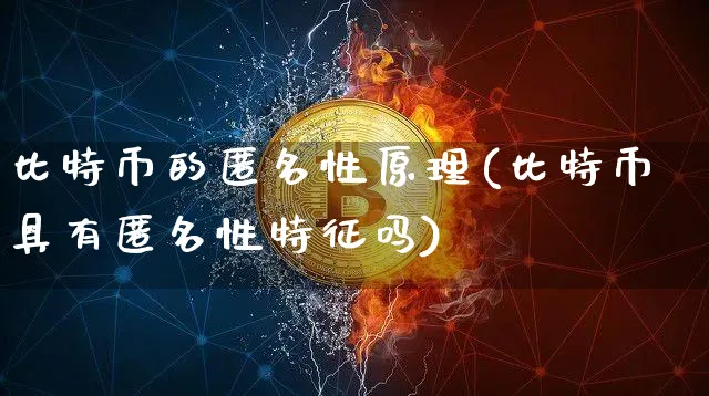 比特币的匿名性原理图