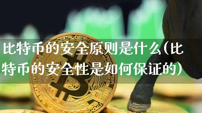 比特币的安全原则是什么意思