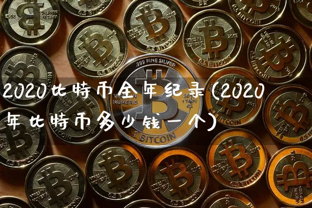 比特币2020-2021