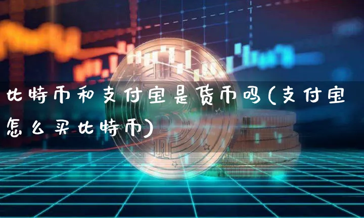 支付宝账户属于其他货币资金