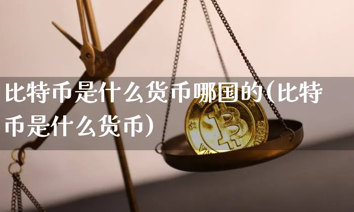 比特币是属于什么币