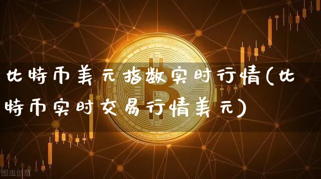 比特币美元指数实时行情查询