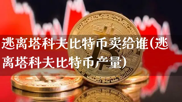 逃离塔科夫比特币可以干嘛