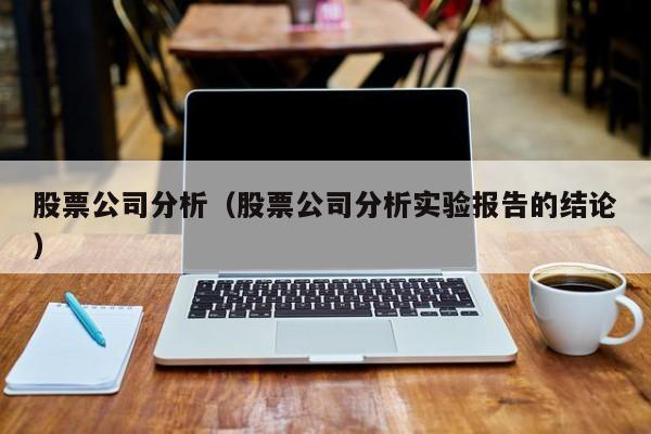 股票公司分析报告