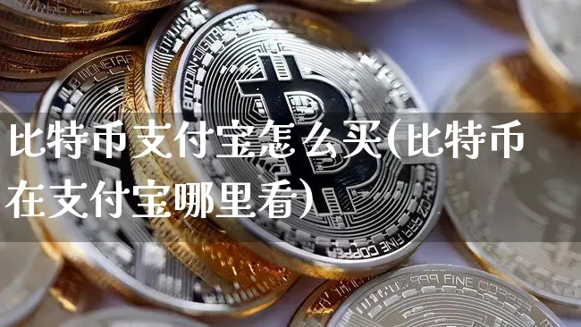 比特币怎么用支付宝支付给卖家