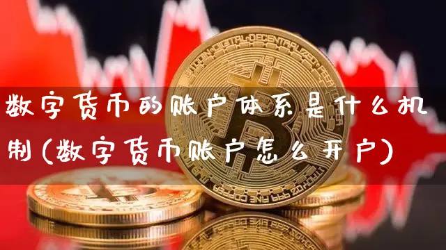 数字货币的账户体系是什么机制的