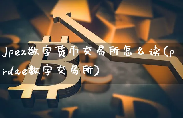 payc数字币交易所