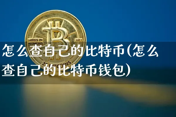 怎么查自己的比特币信息