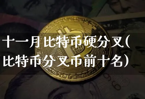 比特币11月12月行情