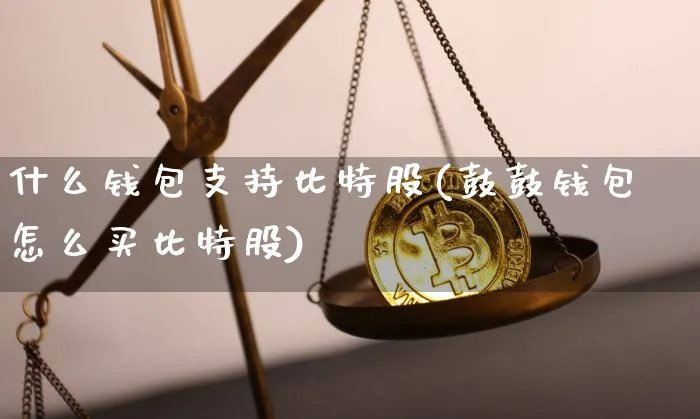 支持比特币的钱包