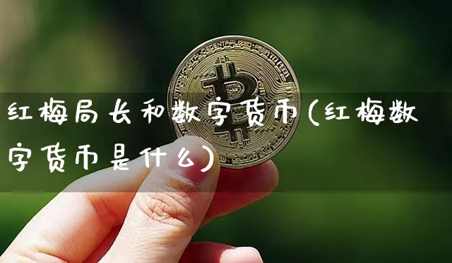 中国红梅物联网数字货币