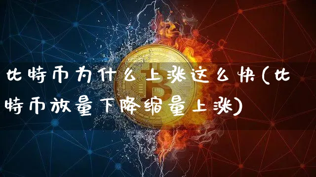 比特币为啥涨的这么快