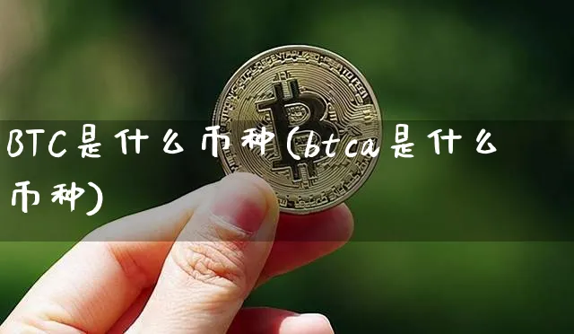 btc是什么币种的缩写