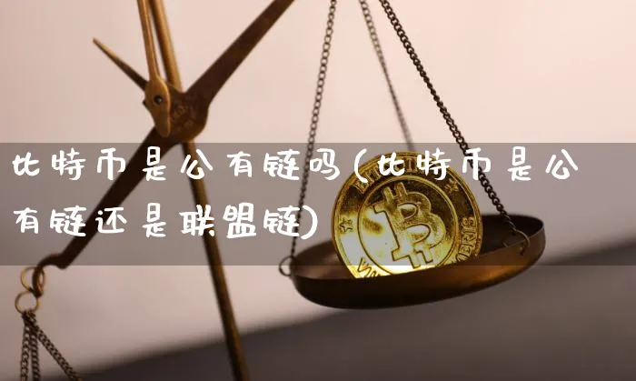 比特币算共同财产吗