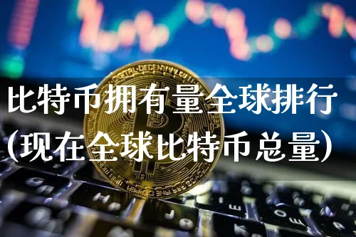 全球比特币持有排行榜