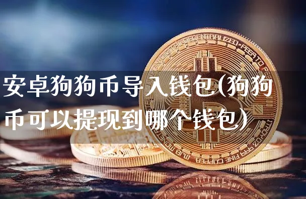 狗狗币怎么转到imtoken