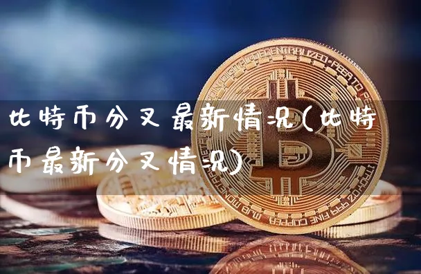 比特币分叉bch