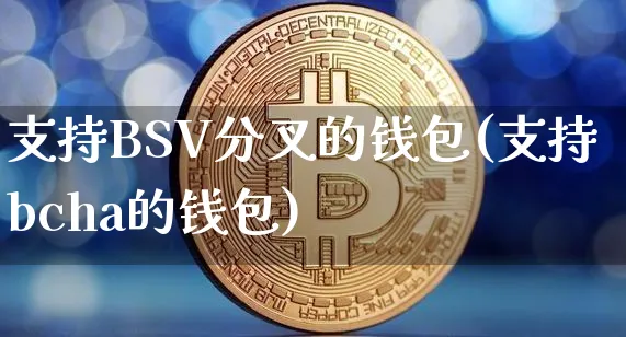 bsv 钱包