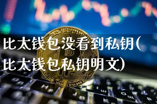 比太钱包和imtoken