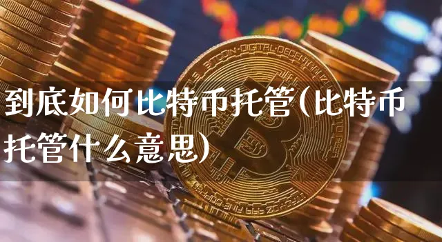 比特币矿机托管资金盘骗局