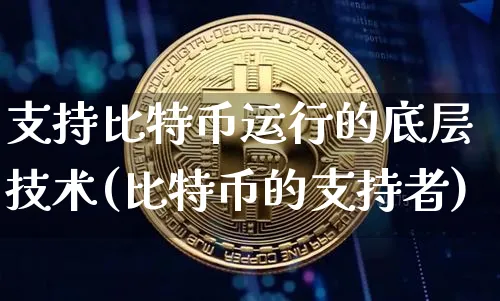 支持比特币的电商