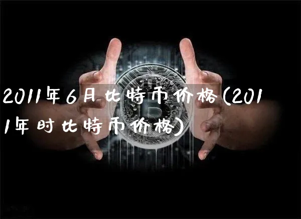 2011年比特币什么价