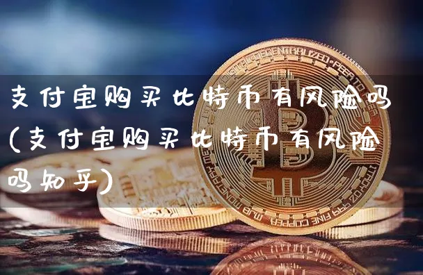 支付宝 买比特币