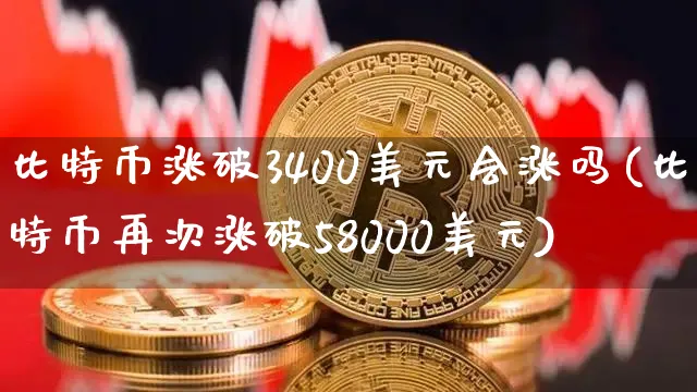 比特币涨到30万美元