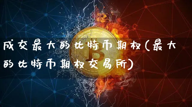 成交最大的比特币期权是什么