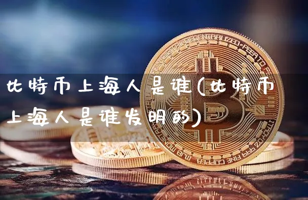 上海比特币公司叫什么