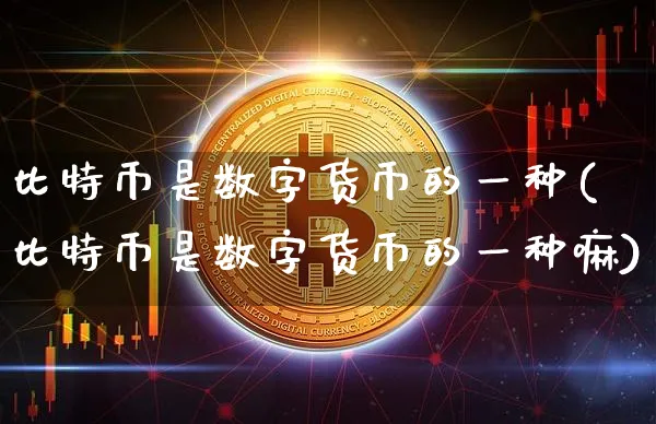 比特币是数字化货币吗