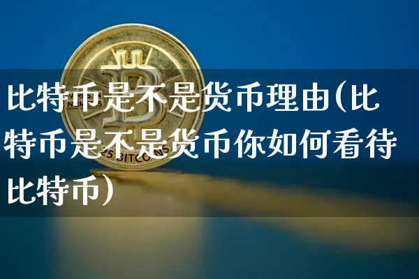 你认为比特币是货币吗?为什么?