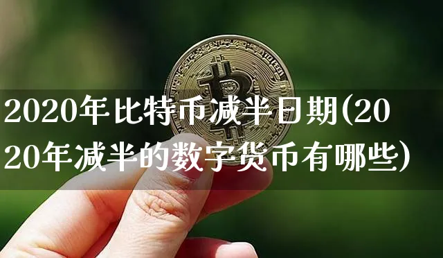 比特币2020年减半后果