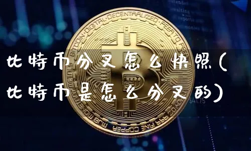 比特币分叉出来的叫什么币