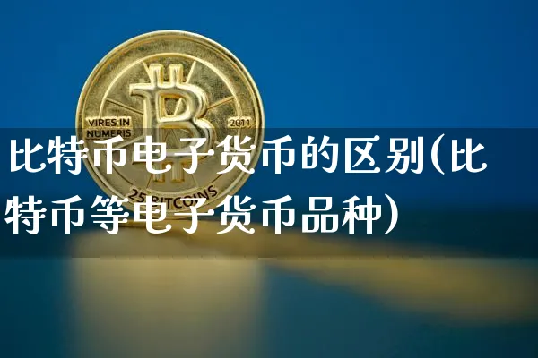 比特币和电子支付