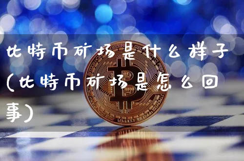 比特币矿场是什么样子图片