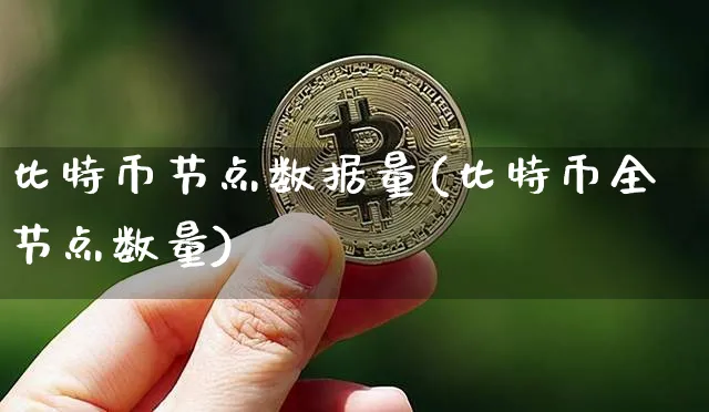 比特币节点是什么意思