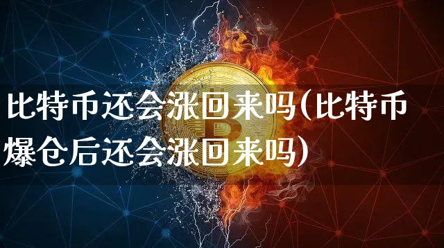 比特币还会涨回来吗 2023