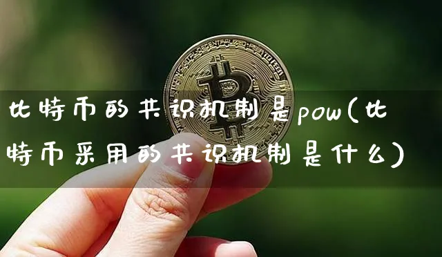 比特币的共识机制是pow(基于工作量证明)