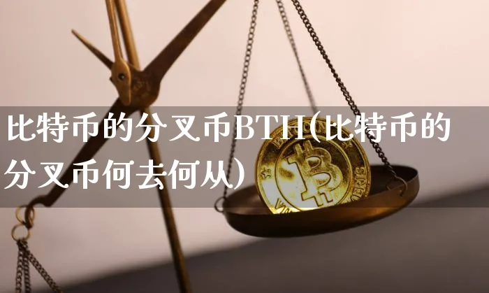 比特币的分叉币比特热点