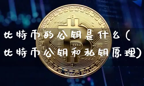 比特币的公钥是什么意思