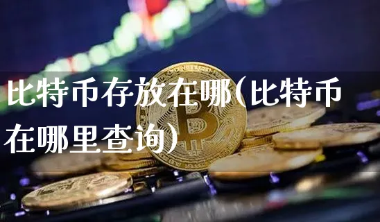 比特币一般都会放在哪里