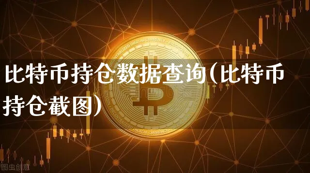 比特币持仓量查询