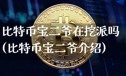 btc宝二爷