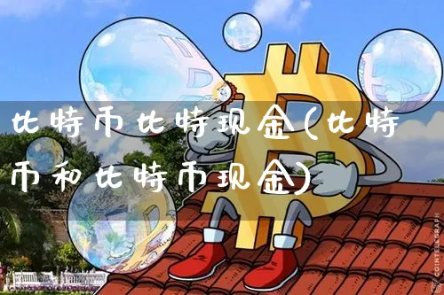 比特币现金是什么意思