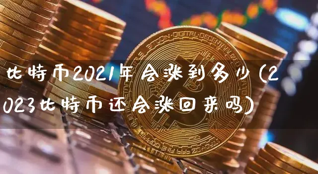 比特币2021年会涨到多少钱