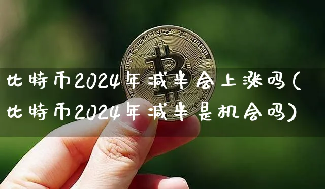 比特币2024年减半会上涨吗知乎